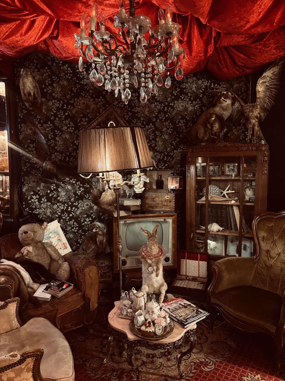 Coin de curiosités et lumière d'ambiance